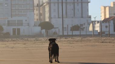 ¿Cómo estará el clima este fin de semana en Necochea? Sol, temperaturas agradables y vientos fuertes