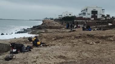 Estudiantes de Paleontología desentierran tesoro prehistórico en Bahía de los Vientos