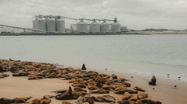 Martes fresco y con nubes en Necochea: mínima de 4° y máxima de 13°