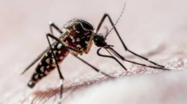 El país vive la peor epidemia de dengue en 27 años