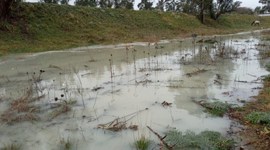 Video: La gran laguna contaminante de calles 104 y 55, ¿Dé dónde sale esa sustancia blanca?