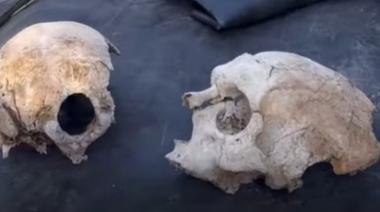 Insólito descubrimiento: Encuentran un segundo Cráneo en Necochea en pocos meses
