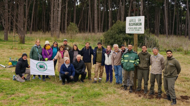 Mientras algunos piensan en talar, otros reforestan el Parque Miguel Lillo