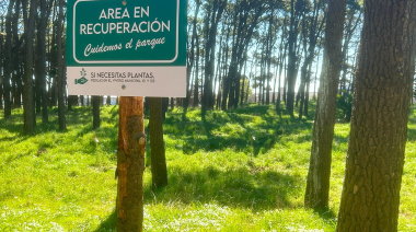 80 años, 16 árboles y una promesa al futuro: el emotivo gesto del Colegio de Farmacéuticos en el Parque Miguel Lillo