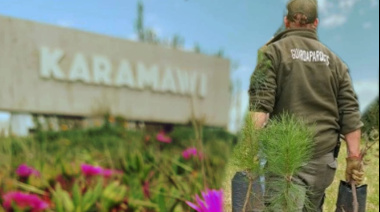 ¡Sumate al verde! Este domingo, plantá en el Karamawi y ayudá a cuidar el Parque Miguel Lillo