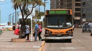 Transportes Necochea S.A.: desafíos y compromisos en medio de una situación complicada