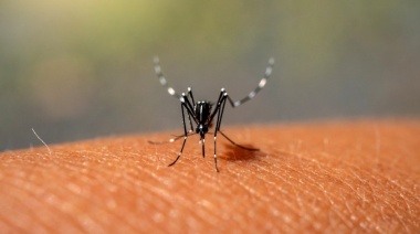 Alerta en San Cayetano por posible caso de Dengue