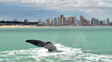 Oportunidad para explorar la belleza natural y la historia de Necochea en estas vacaciones de invierno