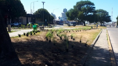Próxima inauguración: La nueva plaza del Barrio Puerto se completa con la forestación final
