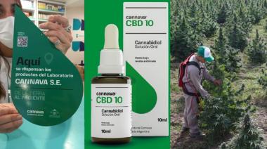 Histórico avance en Argentina: ANMAT autoriza comercialización del primer aceite de cannabis medicinal a nivel nacional