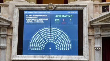 Diputados dio media sanción al Registro de Deudores Alimentarios presentado por la legisladora necochense