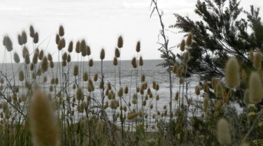 Chaparrones y vientos fuertes: El clima para Necochea este martes