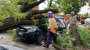 Alerta por vientos fuertes en Necochea: miércoles ventoso con ráfagas de hasta 69 km/h