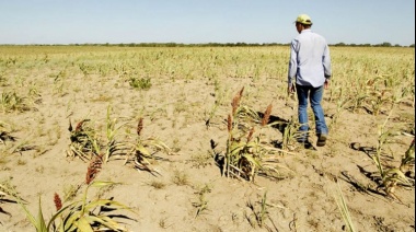 Vence el plazo para presentar ratificaciones o nuevas DDJJ en el marco de la Emergencia Agropecuaria