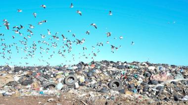 El PRO unido exigió a Rojas que no firme el reconocimiento de deuda por la basura