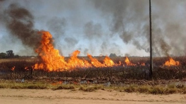 Llamado a la responsabilidad para evitar incendios forestales en Necochea