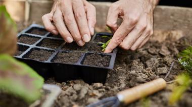 El Municipio de Necochea promueve talleres de Huerta con enfoque agroecológico en barrios locales