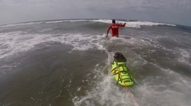 Video: Mirá como Truman, el perro guardavidas, entrena ingresando al mar en Necochea