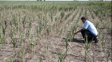 Este jueves vence el plazo para solicitar o ratificar la Emergencia Agropecuaria