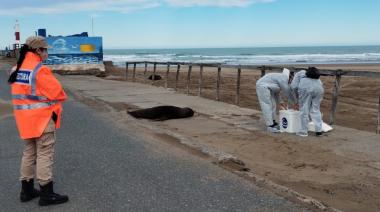 Información oficial municipal sobre el cierre preventivo de la Escollera Sur