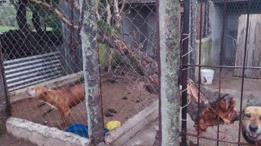 El CAAN afectado por el temporal: solicitan ayuda para reparar los caniles dañados
