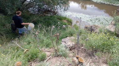 Técnicos de Piscicultura son parte de una campaña nacional de muestreo de peces