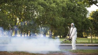 Dengue: son 80 los casos confirmados en la provincia y ya hay circulación comunitaria