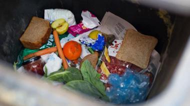 Alimentos desperdiciados: Un escandaloso 40% de la producción global se pierde