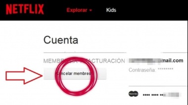 Sube el dólar tarjeta a $1.320: Cómo dar de baja Netflix para reducir costos