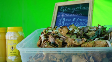Vuelve "El Mercado": productos frescos y precios directos te esperan este miércoles en la Plaza Dardo Rocha