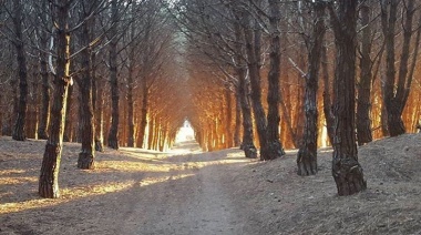 Jornada invernal con neblina y cielo parcialmente nublado