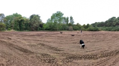 Ordenan frenar las obras en el Parque por cuestiones ambientales