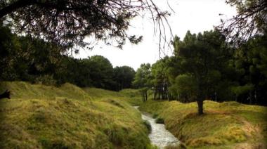 Viernes con chaparrones y viento sur en Necochea: cómo estará el tiempo durante la jornada