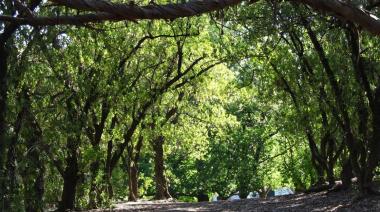 Temperaturas agradables tras días de frío intenso