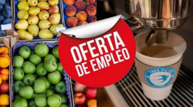¿Necesitas trabajar? Buscan personal para un café y una verdulería y frutería en Necochea