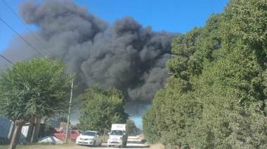 Voraz incendio consumió extenso baldío en Necochea