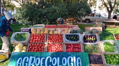 Se compartirá un "guiso sin agrotóxicos" este mediodía frente al municipio