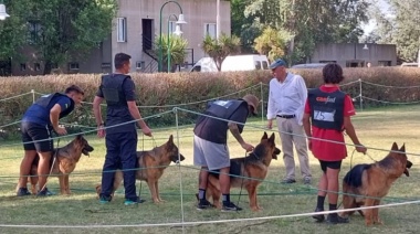 Ovejeros Alemanes de Necochea preparados para competir en el Nacional de La Pampa