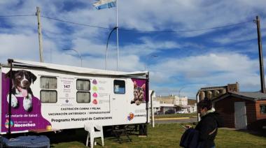 Quirófano móvil de castración en Necochea: Turnos gratuitos para mascotas en Avenida 10 y Calle 93