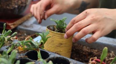Taller de huerta en Necochea: Aprendé agroecología gratis