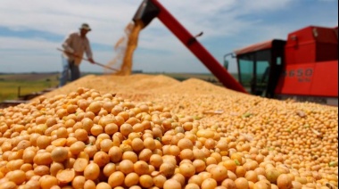 Los agroexportadores ganaron casi $ 600.000 millones extras con el dólar soja