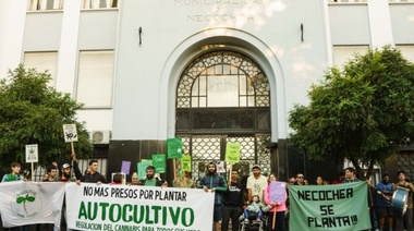 Cannabis medicinal: "Aún muchas y muchos compañeros siguen criminalizados"