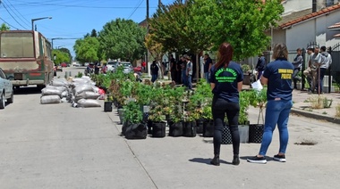 Cannabicultores exigen la libertad del joven detenido por cultivar