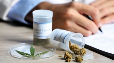 Cannabis medicinal: amplían la vigencia del permiso para cultivar