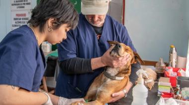 ¡Tu mascota lo necesita! Castración gratuita en el parque Miguel Lillo con el Quirófano Móvil