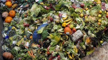 ¿Cuántos alimentos se desperdician en el mundo? La ONU reveló cifras alarmantes