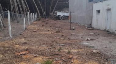 ¿Cómo actuó el municipio ante la tala ilegal de 43 árboles en el Club Villa Díaz Vélez?