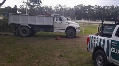 Justicia por el Parque Miguel Lillo: El Club Villa Díaz Vélez fue sancionado por la irresponsable tala ilegal
