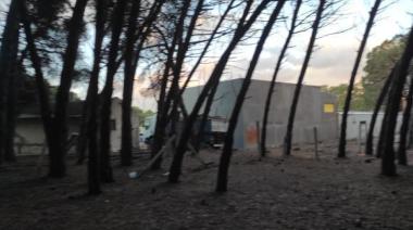 Denunciaron al Club Villa Díaz Vélez por talar ilegalmente más de 40 árboles en el Parque Miguel Lillo