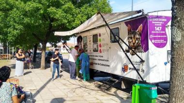 ¿Querés castrar a tu perro o gato? El quirófano móvil continúa en el Parque Miguel Lillo